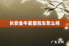 长安金牛星面包车怎么样