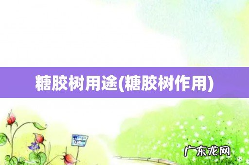 糖胶树作用 糖胶树用途