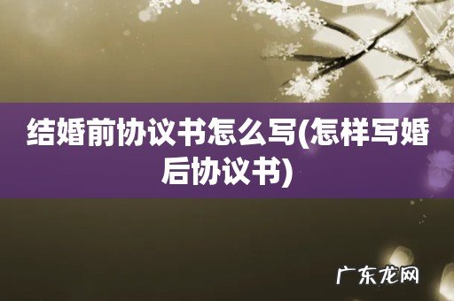 怎样写婚后协议书 结婚前协议书怎么写