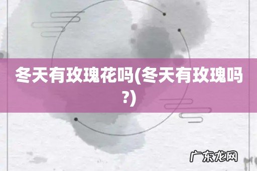 冬天有玫瑰吗? 冬天有玫瑰花吗