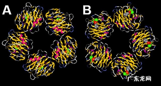 验血c反应蛋白高说明什么 c反应蛋白高说明什么感染