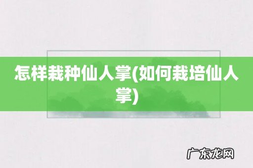 如何栽培仙人掌 怎样栽种仙人掌