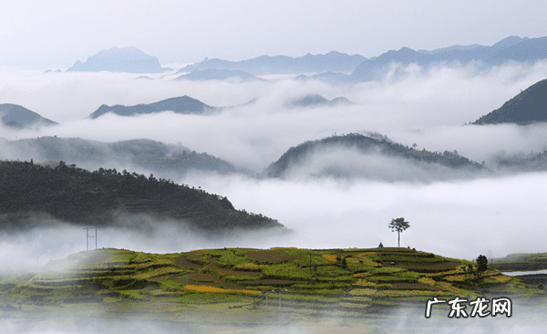 三元九运玄空风水罗盘