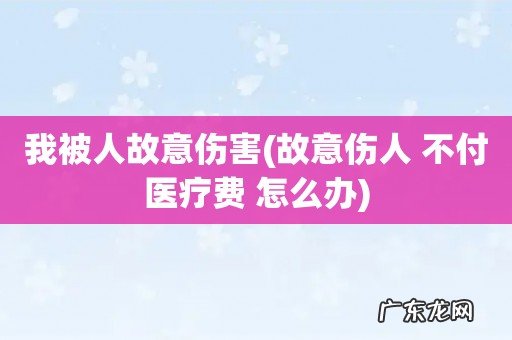 故意伤人 不付医疗费 怎么办 我被人故意伤害