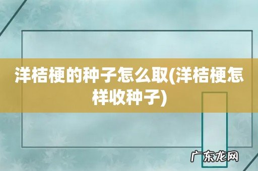 洋桔梗怎样收种子 洋桔梗的种子怎么取