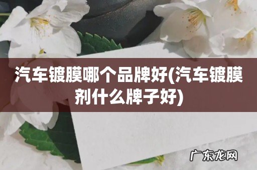 汽车镀膜剂什么牌子好 汽车镀膜哪个品牌好