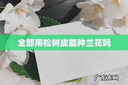 全部用松树皮能种兰花吗