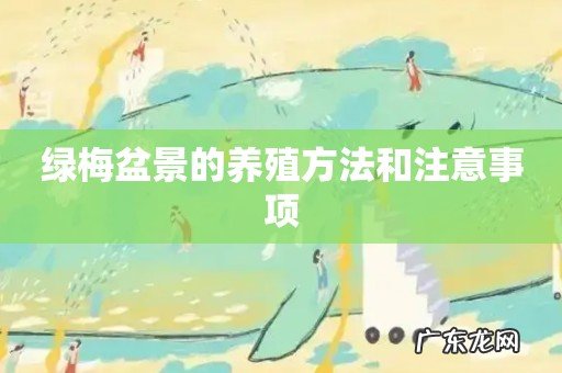 绿梅盆景的养殖方法和注意事项