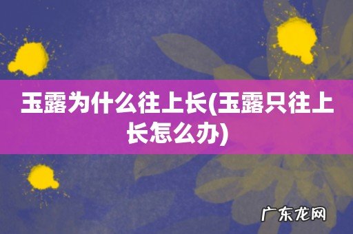 玉露只往上长怎么办 玉露为什么往上长