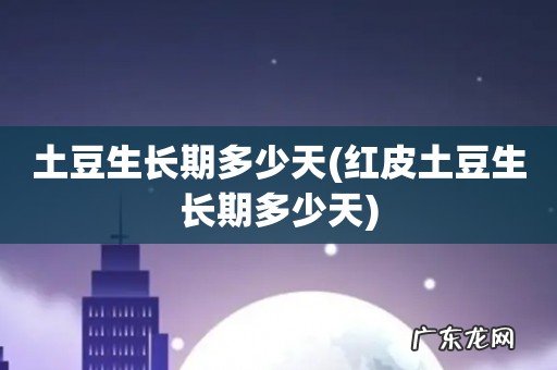 红皮土豆生长期多少天 土豆生长期多少天