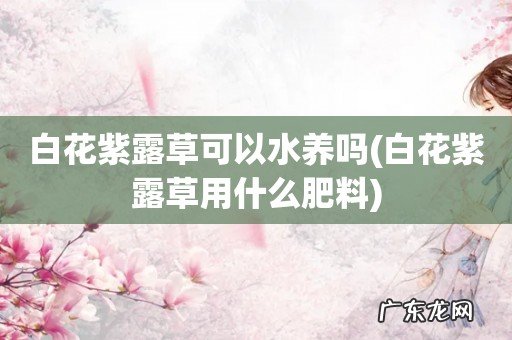 白花紫露草用什么肥料 白花紫露草可以水养吗