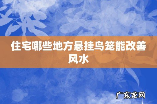 住宅哪些地方悬挂鸟笼能改善风水