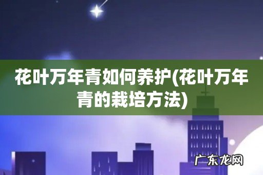 花叶万年青的栽培方法 花叶万年青如何养护