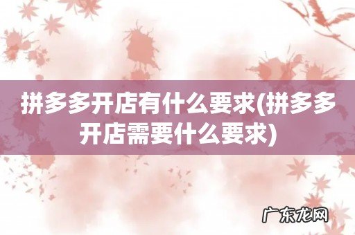 拼多多开店需要什么要求 拼多多开店有什么要求