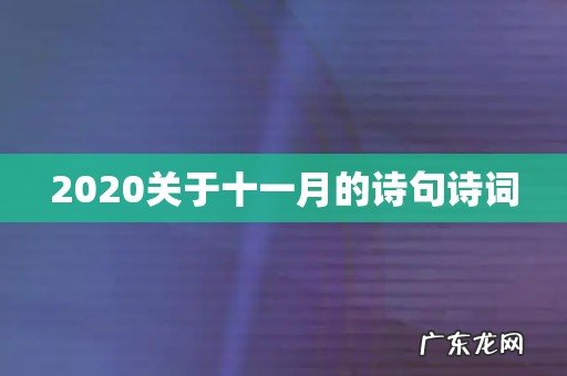2020关于十一月的诗句诗词