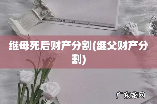 继父财产分割 继母死后财产分割