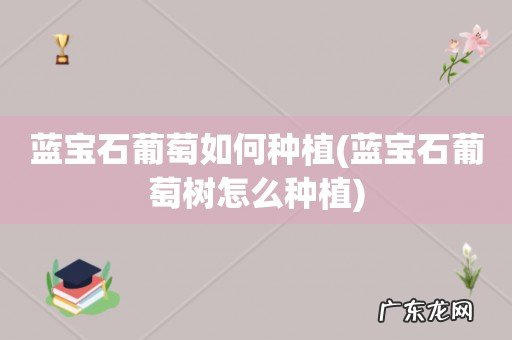蓝宝石葡萄树怎么种植 蓝宝石葡萄如何种植