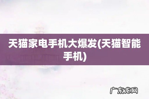 天猫智能手机 天猫家电手机大爆发