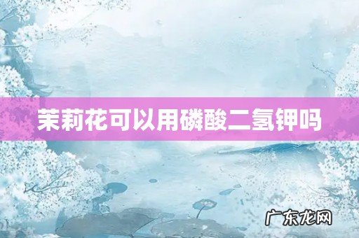 茉莉花可以用磷酸二氢钾吗