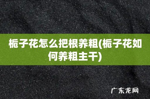 栀子花如何养粗主干 栀子花怎么把根养粗