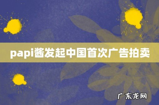 papi酱发起中国首次广告拍卖