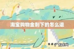 淘宝购物金剩下的怎么退