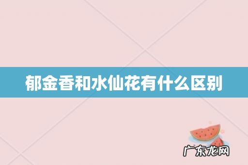 郁金香和水仙花有什么区别