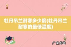 牡丹吊兰耐寒的最低温度 牡丹吊兰耐寒多少度