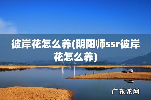 阴阳师ssr彼岸花怎么养 彼岸花怎么养