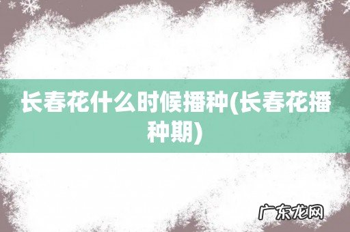 长春花播种期 长春花什么时候播种