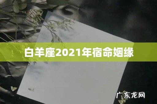 白羊座2021年宿命姻缘