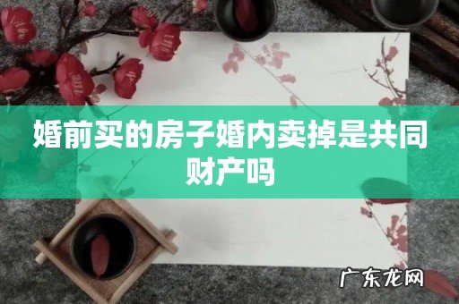 婚前买的房子婚内卖掉是共同财产吗