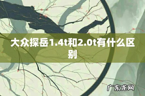 大众探岳1.4t和2.0t有什么区别
