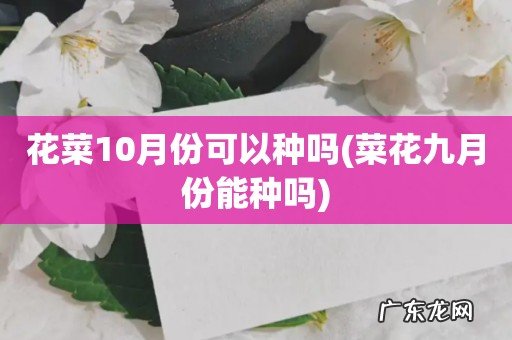 菜花九月份能种吗 花菜10月份可以种吗