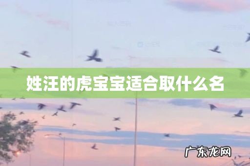 姓汪的虎宝宝适合取什么名
