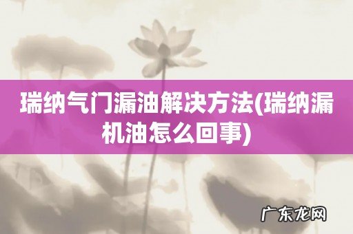 瑞纳漏机油怎么回事 瑞纳气门漏油解决方法