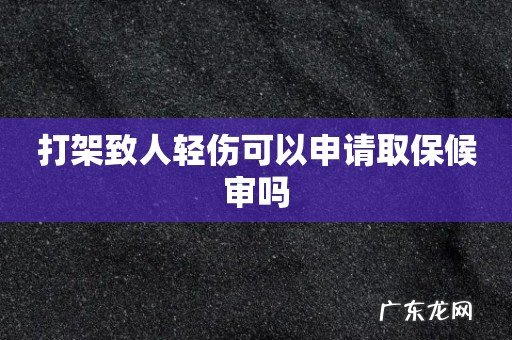 打架致人轻伤可以申请取保候审吗