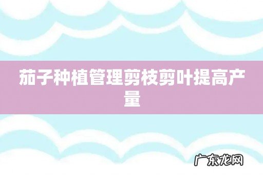 茄子种植管理剪枝剪叶提高产量