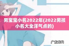2022男孩小名大全洋气点的 男宝宝小名2022年
