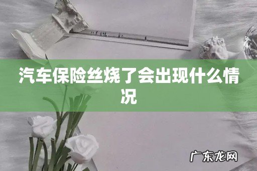 汽车保险丝烧了会出现什么情况