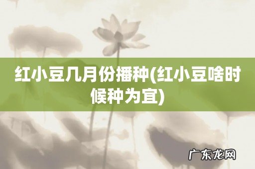 红小豆啥时候种为宜 红小豆几月份播种