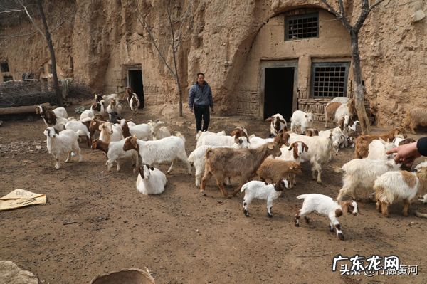 风水赚钱吗 风水先生很赚钱嘛