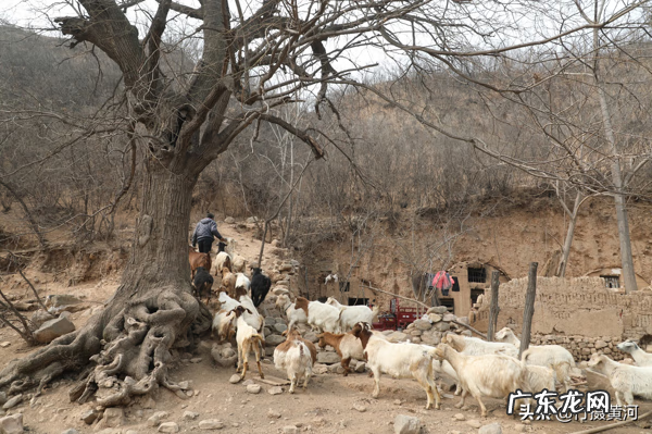 风水赚钱吗 风水先生很赚钱嘛
