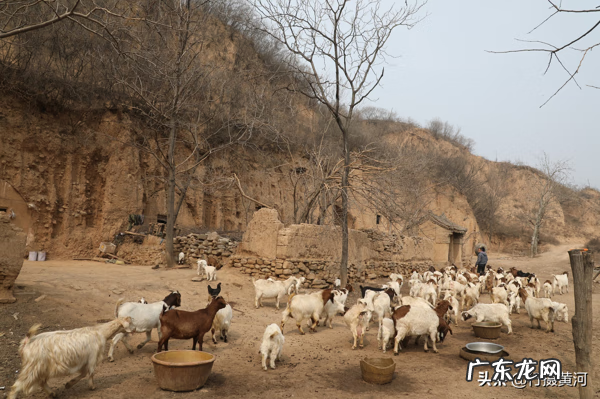 风水赚钱吗 风水先生很赚钱嘛