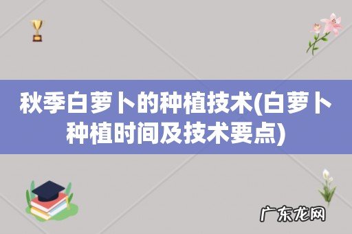 白萝卜种植时间及技术要点 秋季白萝卜的种植技术