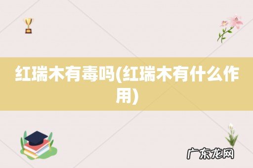红瑞木有什么作用 红瑞木有毒吗