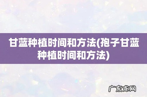 孢子甘蓝种植时间和方法 甘蓝种植时间和方法