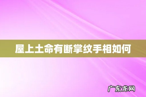 屋上土命有断掌纹手相如何