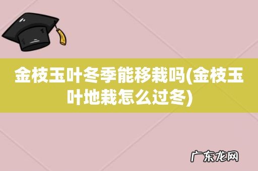 金枝玉叶地栽怎么过冬 金枝玉叶冬季能移栽吗