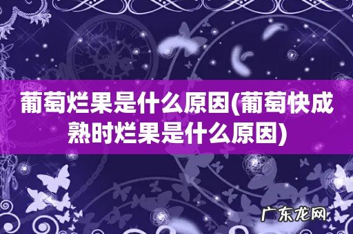 葡萄快成熟时烂果是什么原因 葡萄烂果是什么原因